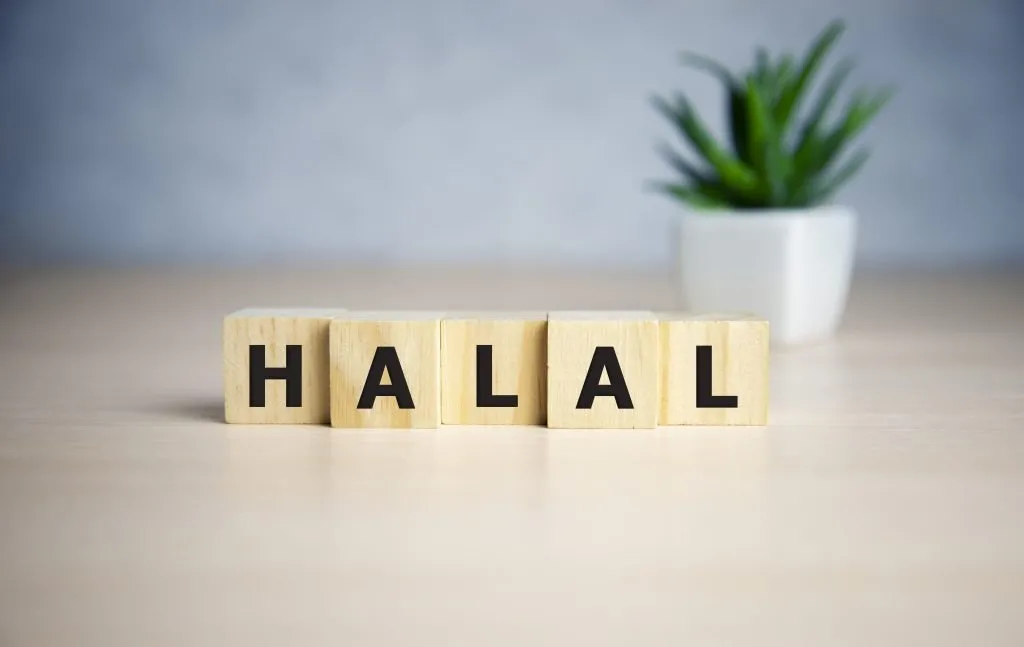 Understanding the Significance of Halal Income in Islam